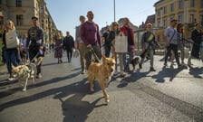 Uczestnicy parady w 2022 roku