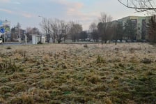 <p>Niezabudowany teren przy ulicy Mińskiej, miedzy Roślinną a Stachury, na kt&oacute;rym powstać ma pętla autobusowo-tramwajowa. Jest tu przystanek "Muchob&oacute;r Wielki (Roślinna)". To miejsce w planie miejscowym określony jest jako "tereny komunikacji tramwajowej z zielenią towarzyszącą". Tu ma się rozpoczynać buspas, kt&oacute;ry biec będzie do Strzegomskiej, a tam połączy się z trasą autobusowo-tramwajową prowadzącą do centrum miasta&nbsp;</p>