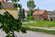 Tak latem prezentuje się ulica Pawia (zdjęcie archiwalne z 2023 r.)