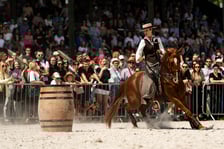 Wrocławski Tor Wyścigów Konnych