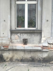 <p>Nowy krasnal-reżyser u zbiegu ulic Mierniczej i Łukasińskiego</p>