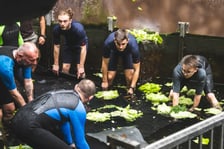 Przygotowania do transportu manata Ambrożego