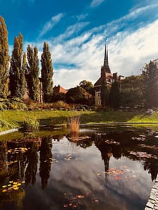 <p>Ogr&oacute;d Botaniczny Uniwersytetu Wrocławskiego w barwach jesieni</p>