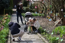 Festiwal Magnolii w Ogrodzie Botanicznym