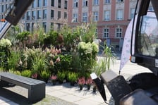 Plac Nowy Targ we Wrocławiu - wrzesień 2023 r.