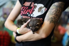 Dolnośląskie Targi Zoologiczne na Tarczyński Arena we Wrocłąwiu