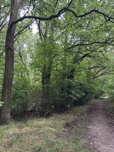 Park Pilczycki