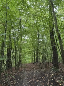 Park Pilczycki