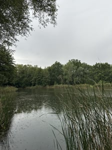 Park Pilczycki
