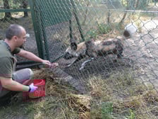 Kamil Guzik i jeden z jego podopiecznych, likaon