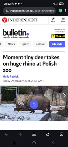 Mundżak i samica nosorożca robią w sieci zawrotną karierę