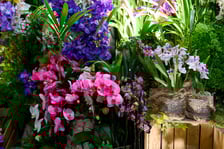 <p>Fantastyczny World Flower Show &ndash; Światowa Wystawa Roślin na Tarczyński Arena 11 i 12 kwietnia</p>