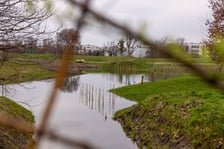 <p>Park Krzycki we Wrocławiu</p>