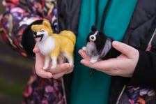 Pchli Targ w Sercu Szczepina - 19.04.2026 r.