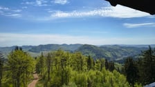<p>Widok z Dzikowca</p>