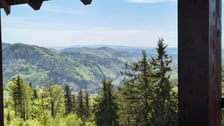 <p>Widok z Dzikowca</p>