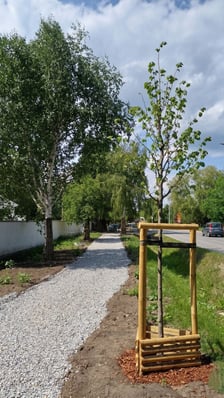 Budowa chodnika na ulicy Kurpiów