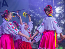 Wielki Wrocławski Piknik w Pawłowicach