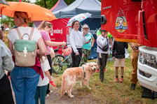 Piknik z cyklu „Wakacje z Wroclaw.pl” zorganizowany w niedzielę 5 lipca nad Stawem Królewieckim na Maślicach