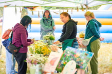 Piknik na Maślicach z cyklu Wakacje z Wroclaw.pl, lipiec 2026