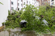 Drzewo spadło na samochód w rejonie skrzyżowania ul. Barlickiego i Kluczborskiej, 14.07.2026