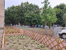 Metamorfoza na Gajowicach. Podwórko w kwartale ulic Szczęśliwej, Pereca, Lwowskiej i Jemiołowej po remoncie.