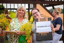 Farma Miejska Wrocław. Pierwsze tegoroczne zbiory trafiły do przedszkoli i żłobków