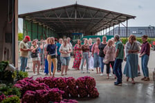 Farma Miejska Wrocław. Pierwsze tegoroczne zbiory trafiły do przedszkoli i żłobków