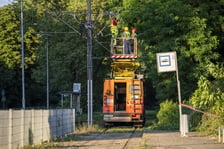 Usuwanie drzewa, które przewróciło się na torowisko i trakcję tramwajową na ul. Kwidzyńskiej - 24 lipca 2026 r.