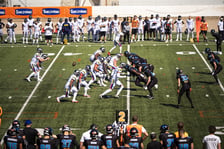 Mecz Panthers Wrocław vs Alpine Rams - 25.07.2026 r.