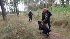 Międzynarodowe Mistrzostwa Kynologiczne Psów Służbowych zorganizowano w miejscowości Červená nad Vltavou w Republice Czeskiej