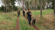 Międzynarodowe Mistrzostwa Kynologiczne Psów Służbowych zorganizowano w miejscowości Červená nad Vltavou w Republice Czeskiej