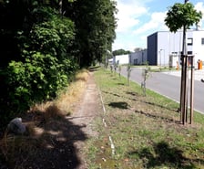 Promenada Krzycka na odcinku od ul. Krzyckiej do Racławickiej
