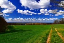 Oborniki Śląskie