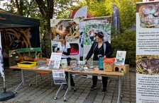 10. edycja Wild Run we wrocławskim ogrodzie zoologicznym, 4 października 2026 r.