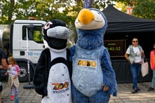 10. edycja Wild Run we wrocławskim ogrodzie zoologicznym, 4 października 2026 r.