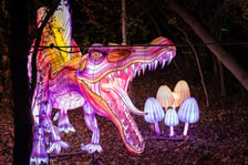 Lumina Park Wrocław - 15.10.2026 r.