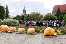 23. Festiwal Dyni 2026 w Ogrodzie Botanicznym we Wrocławiu. 11.10.2026