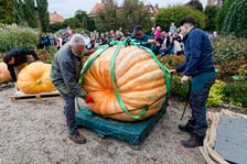 23. Festiwal Dyni 2026 w Ogrodzie Botanicznym we Wrocławiu. 11.10.2026