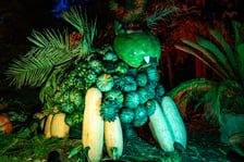 <p>Dyniowe Iluminacje w Ogrodzie Botanicznym we Wrocławiu</p>