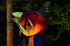 <p>Dyniowe Iluminacje w Ogrodzie Botanicznym we Wrocławiu</p>