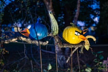 <p>Dyniowe Iluminacje w Ogrodzie Botanicznym we Wrocławiu</p>