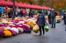 Wrocławianie odwiedzają Cmentarz Osobowicki przed Dniem Wszystkich Świętych
