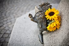 Wrocław jest nazywany miastem krasnali. Nie bez powodu - na jego terenie znajdziemy aż 457 figurek, a lista nadal się powiększa. Dla ułatwienia poszukiwań powstała mapa krasnali, można ją zakupić na rynku w Centrum Informacji Turystycznej.
