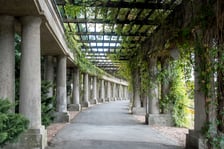Pergola przy Hali Stulecia nie tylko dla zakochanych