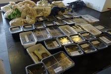 Nielegalny przewóz 166 egzotycznych gadów i płazów został udaremniony na przejściu granicznym Korczowa-Krakowiec. Żywe zwierzęta były umieszczone w czterech styropianowych pojemnikach. Spośród 166 przemycanych zwierząt, aż 116 objętych jest Konwencją Waszyngtońską CITES