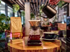 <p><strong>Parrot Coffee</strong> jest kawiarnią z kawą speciality, z roślinnym papuzim motywem w tle. Papugi - Jon, Pablo i Charlie są członkami rodziny właścicieli, kt&oacute;rzy wychowują je od jajeczka. W kawiarni mają wydzielone miejsce, gdzie mogą się pobawić a zarazem pod opieką właścicieli czuć się bezpiecznie - ich obecność nie wpływa na funkcjonowanie lokalu. Przyjeżdżają do kawiarni kilka razy w tygodniu, na kilka godzin i wtedy jest to czas, kt&oacute;ry mogą spędzić poza domem. Opr&oacute;cz tego, pomagają właścicielom w biurowych sprawach, a także często goszczą razem z nimi na przedsięwzięciach charytatywnych i warsztatach dla dzieci z niepełnosprawnościami w lokalnych dolnośląskich plac&oacute;wkach.</p>
<p>Adres: ul. Piotra Skargi 3 i Bema 2. Godziny otwarcia: od poniedziałku do piątku, w godz. od 7.45 do 20.00, w soboty i niedziele od 10.00 do 20.00.</p>
