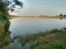 Rzeka Czarna Woda w Gniechowicach wylała się ze swojego koryta.
