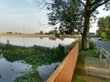 Rzeka Czarna Woda w Gniechowicach wylała się ze swojego koryta.