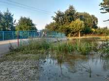 Rzeka Czarna Woda w Gniechowicach wylała się ze swojego koryta.